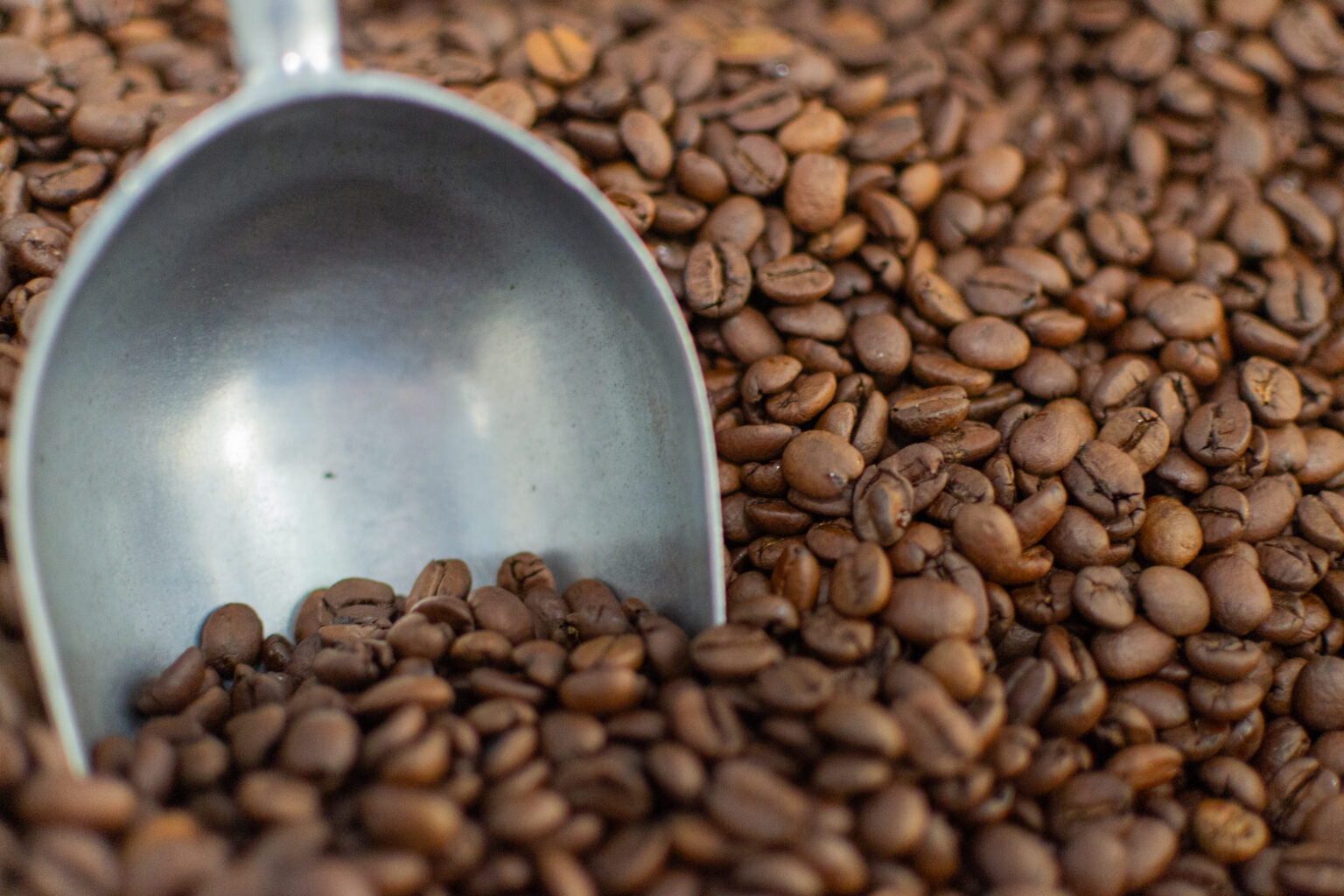 Holiday Gift Guide For Coffee Lovers